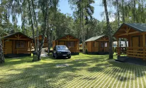 Urokliwe domki nad morzem w Gdańsku, otoczone zielenią i drzewami. Idealne miejsce na wakacyjny wypoczynek.