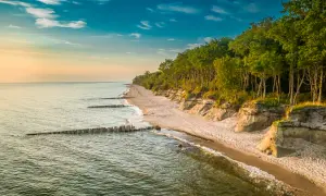 Piękny zachód słońca nad morzem, gdzie piaszczysta plaża z drzewami na klifie tworzy malowniczy krajobraz. W oddali widać spacerujące gąski.