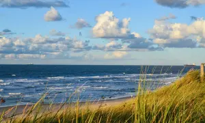 Piękny widok na morze z piaszczystą plażą i wydmami porośniętymi trawą. Na horyzoncie widać statki, a niebo zdobią chmury. To idealne miejsce na spacer, gdzie można poczuć morską bryzę i podziwiać krajobraz.