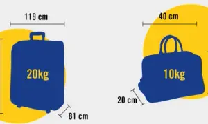 Co można przewozić w bagażu rejestrowanym Ryanair? Sprawdź zasady