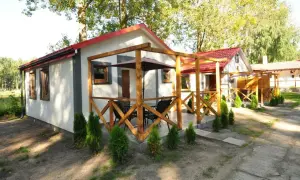 Urocze domki letniskowe "Albatros" w Łebie, z drewnianymi tarasami i zielenią wokół, zapraszają na wypoczynek.
