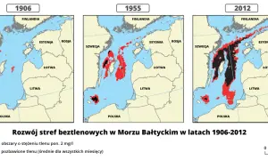 Jakie są morza w Polsce? Odkryj tajemnice Bałtyku i jego obszarów