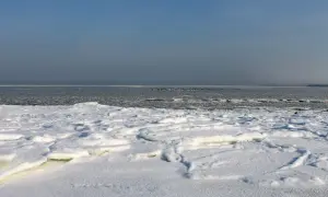 Zamarznięty Bałtyk, pokryty lodem i śniegiem, z ptakami na wodzie. Trudno zliczyć, ile razy Bałtyk zamarzł.