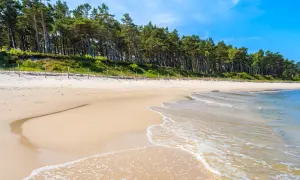 Piękna plaża z sosnowym lasem w tle, idealne miejsce na lubiatów nad morzem. Delikatne fale obmywają piaszczysty brzeg.