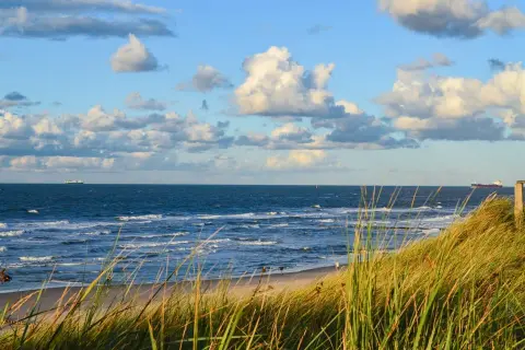 Piękny widok na morze z piaszczystą plażą i wydmami porośniętymi trawą. Na horyzoncie widać statki, a niebo zdobią chmury. To idealne miejsce na spacer, gdzie można poczuć morską bryzę i podziwiać krajobraz.