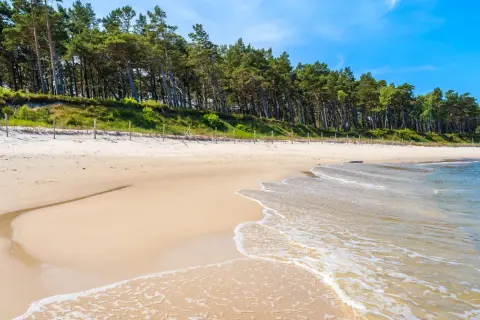 Piękna plaża z sosnowym lasem w tle, idealne miejsce na lubiatów nad morzem. Delikatne fale obmywają piaszczysty brzeg.