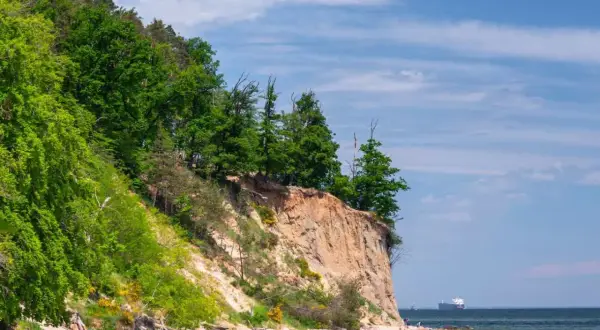 Piękna, biała góra nad morzem, porośnięta zielonym lasem, schodzi ku piaszczystej plaży. Na morzu widać statek.