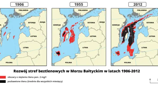 Jakie są morza w Polsce? Odkryj tajemnice Bałtyku i jego obszarów