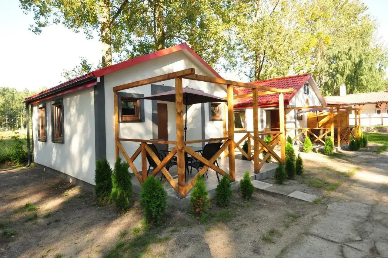 Urocze domki letniskowe "Albatros" w Łebie, z drewnianymi tarasami i zielenią wokół, zapraszają na wypoczynek.