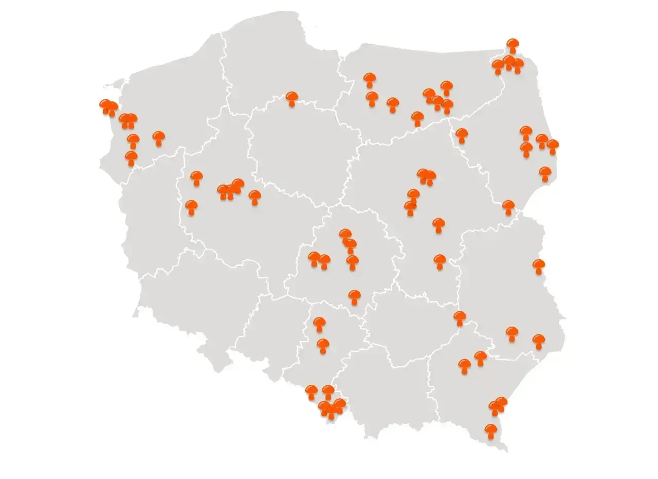 Mapa Polski z zaznaczonymi miejscami, gdzie warto wybrać się na grzyby z noclegiem. Pomarańczowe grzybki wskazują najlepsze lokalizacje.