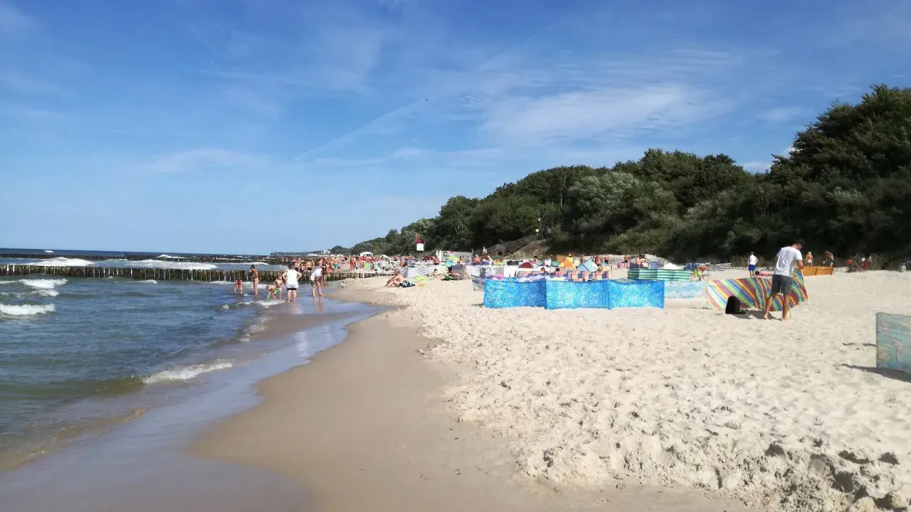 Słoneczny dzień nad morzem, plaża pełna ludzi, falochrony i zielony las w tle. Sianożęty nad morzem tętni życiem.