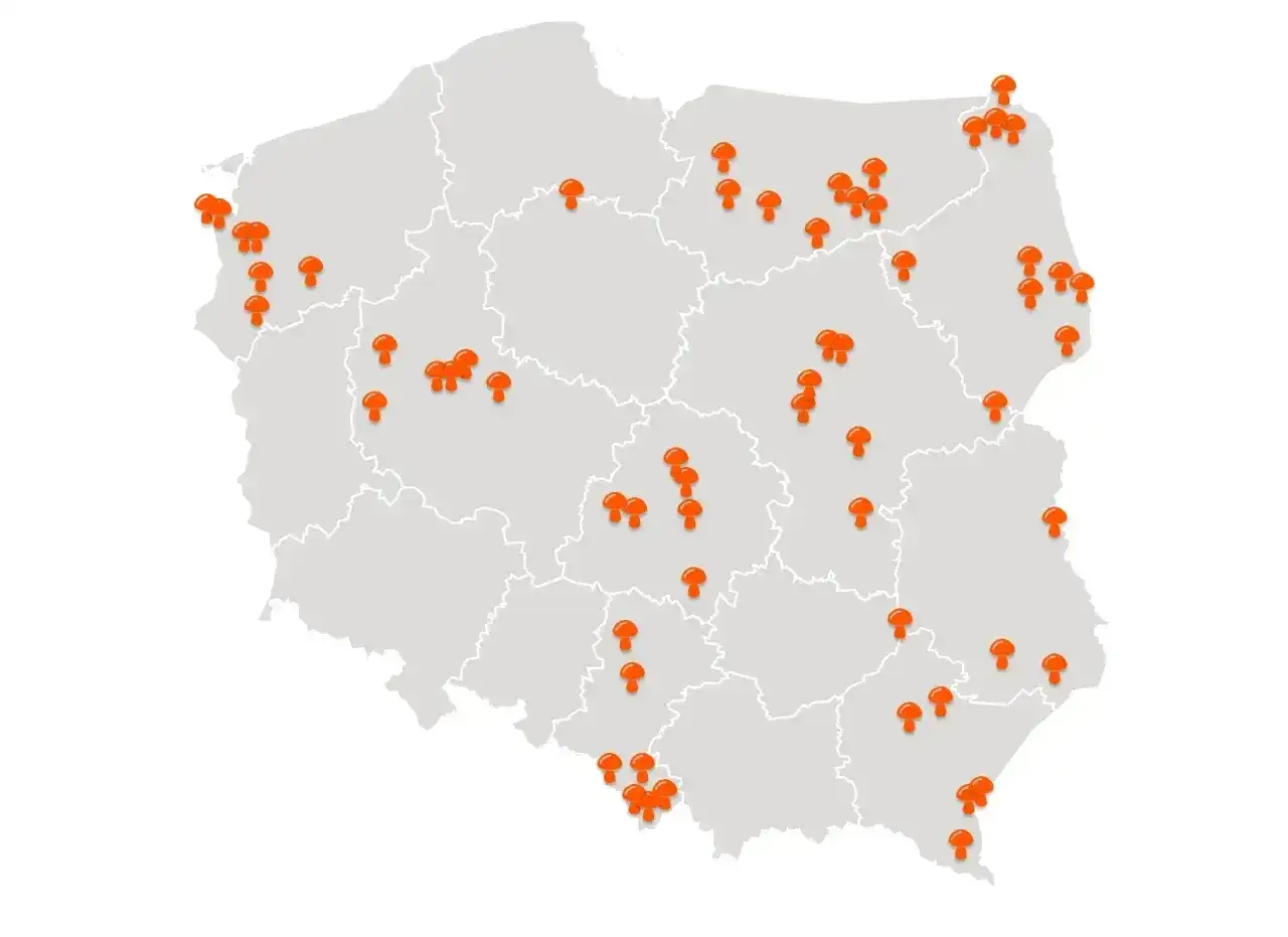 Mapa Polski z zaznaczonymi miejscami, gdzie warto wybrać się na grzyby z noclegiem. Pomarańczowe grzybki wskazują najlepsze lokalizacje.