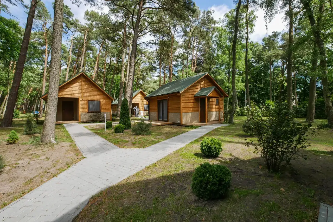 Urokliwe domki w lesie nad morzem, otoczone sosnami i zielenią, z alejkami prowadzącymi do każdego z nich.