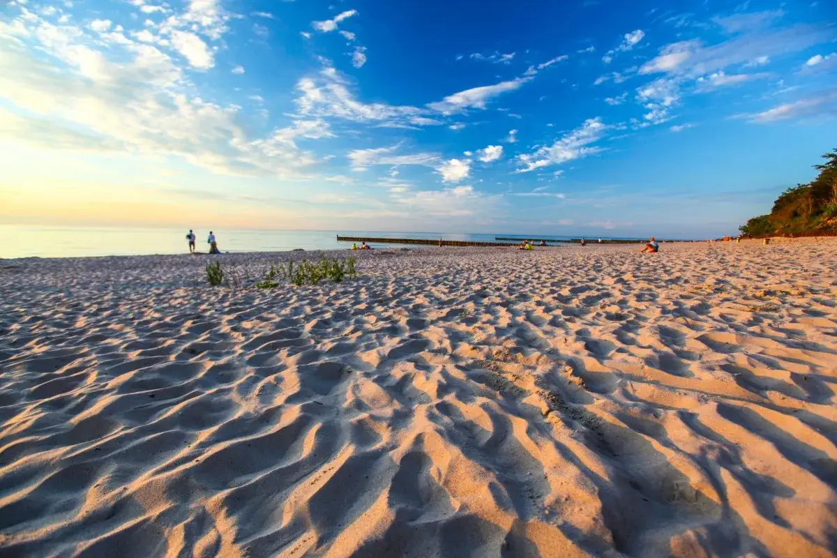 Piękny, piaszczysty brzeg morza o zachodzie słońca. W oddali widać kilka osób spacerujących po plaży. Sianożęty nad morzem w złotym świetle.