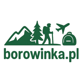 borowinka.pl