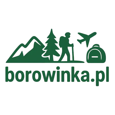 Logo borowinka.pl