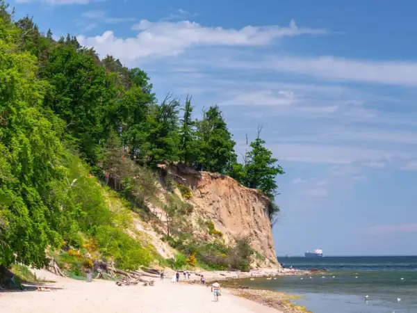 Piękna, biała góra nad morzem, porośnięta zielonym lasem, schodzi ku piaszczystej plaży. Na morzu widać statek.