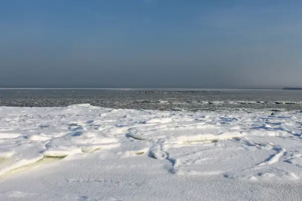 Zamarznięty Bałtyk, pokryty lodem i śniegiem, z ptakami na wodzie. Trudno zliczyć, ile razy Bałtyk zamarzł.