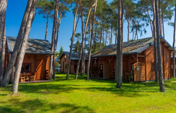 Drewniane domki letniskowe w sosnowym lesie, blisko plaży w Międzywodziu.