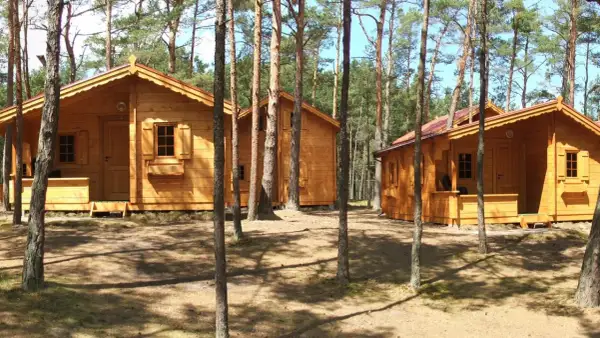 Drewniane domki w lesie, idealne na tanie noclegi blisko morza. Słońce przebija się przez sosny, tworząc cienie na ziemi.
